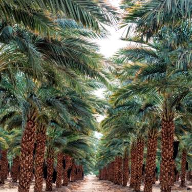 1920x1080_istock_date_grove_a55ba9fb-9484-4309-a89b-ed7befbb1f1b
